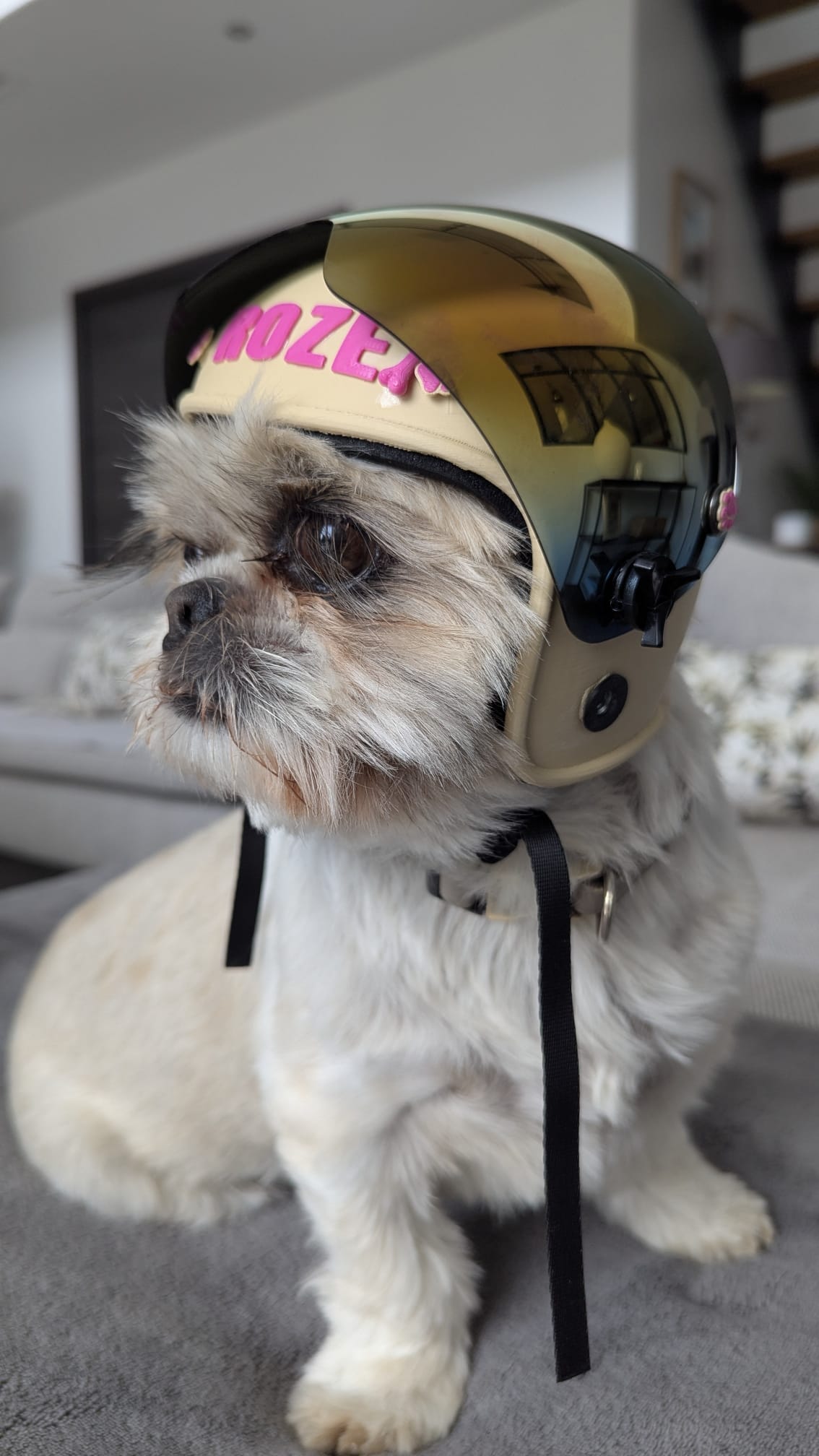 Casque Vintage